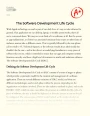 The Software Development Life Cycle Essay