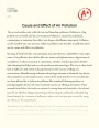 Air Pollution: Causes and Effects Essay
