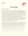 Marine Ecology Essay