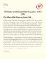Chemistry and The Salt Water Impact on Onion Cells Essay