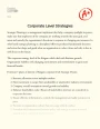 Corporate Level Strategies Essay