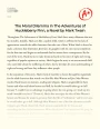 The Moral Dilemma in The Adventures of Huckleberry Finn, a Novel by Mark Twain Essay