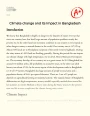 The Impact of Climate Change in Bangladesh Essay