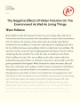 The Effects of Water Pollution on People and Animals Essay