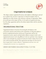 Organisational Analysis Essay