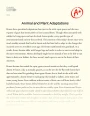 Animal and Plant Adaptations Essay