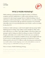 What is Mobile Marketing Essay