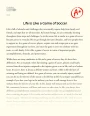 Life is Like a Game of Soccer Essay