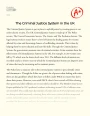 The Criminal Justice System  in The UK Essay