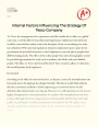 Internal Factors Influencing The Strategy of Tesco Company Essay