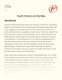 Youth Crime is on The Rise Essay