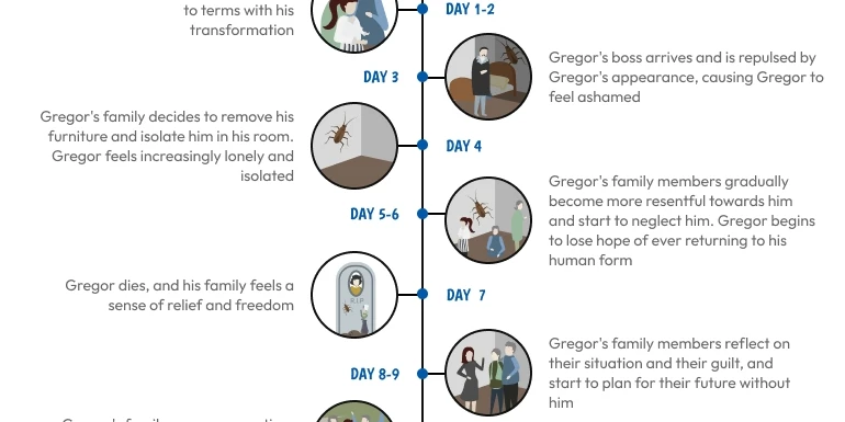 Timeline in the Methamorphoses