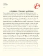The Problem of Anxiety and Stress and Its Treatment Essay